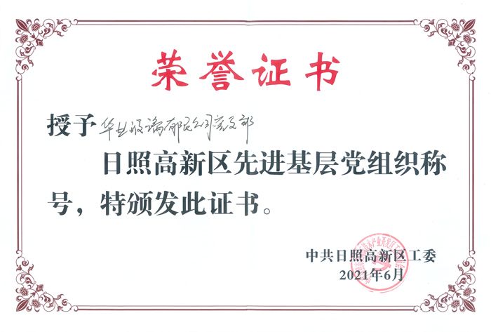 日照高新區(qū)先進基層黨組織-網(wǎng)絡(luò)